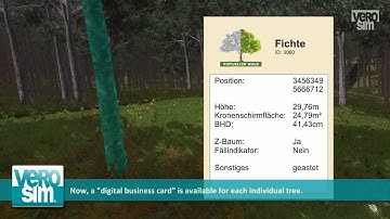 From Remote Sensing Towards Individual Trees