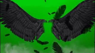green screen wings, green screen devil wings, green screen angel wings
