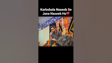 Karbobala Naseeb Se Jana Naseeb Ho | SM Haider Raza❤️