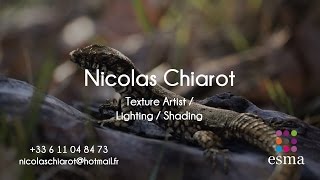 (Old) Nicolas Chiarot - Texture Artist Demoreel 2016