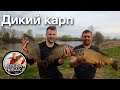 ПОДОБРАЛИ КЛЮЧИК К ВЕСЕННЕМУ КАРПУ! Рыбалка весной на закидушки, донки в Рязанской области 2021
