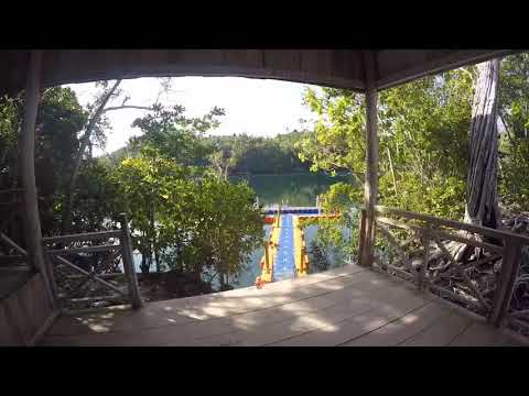 Snorkeling trip - Jellyfish lake, Karina beach, Taipi island