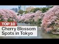 Top 10 Cherry Blossom Spots in Tokyo | japan-guide.com