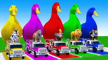 Long Slide Game With Cow Elephant Gorilla Hippopotamus Tiger 3d Animal Game Funny 3d Animals