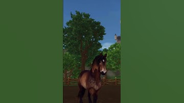 Perfect Sso Transition Star Stable Edit😱 / Sso Short / Sso Edit #sso #starstable #starstableonline