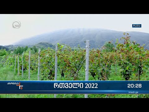 რთველი 2022