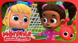 Catch the Morphleball! | Morphle Cartoons | Available on Disney+ and Disney Jr by Moonbug Kids - Cartoon Adventures 16,070 views 1 month ago 2 minutes, 9 seconds