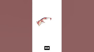 Koi fox | Animation process - @makeartalive #shorts