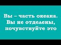 Вы – часть океана. Вы не отделены, почувствуйте это