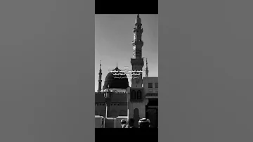 السلام على امين الله Shorts اكسبلور Shortvideo لايك شيعة لامام علي عليه السلام 