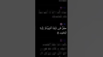كل نفس ذائقه الموت|#تلاوة_خاشعة #عبدالرحمن_مسعد #quran