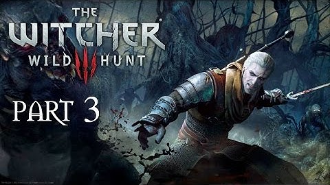 Witcher 3 Wild Hunt Deathmarch Part 3 Missing in Action