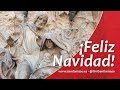 El Rector de la Universidad San Dámaso felicita la Navidad 2021