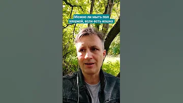 Можно ли мыть пол хлоркой, если у вас кошка