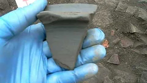 Grey ware Flanged bowl fragement - Roman