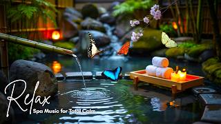 Zen Spa Music - Harmony of Dawn Waters: Soft Piano Melodies and Gentle Stone Stream for Meditation