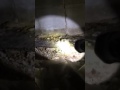 11488 11488