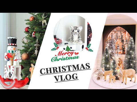 [Christmas VLOG] 강릉 크리스마스 브이로그 | 화려하고 따뜻한 크리스마스 트리 홈데코✨| 연말선물 디저트 추천🎁 | 코바늘 가방 선물