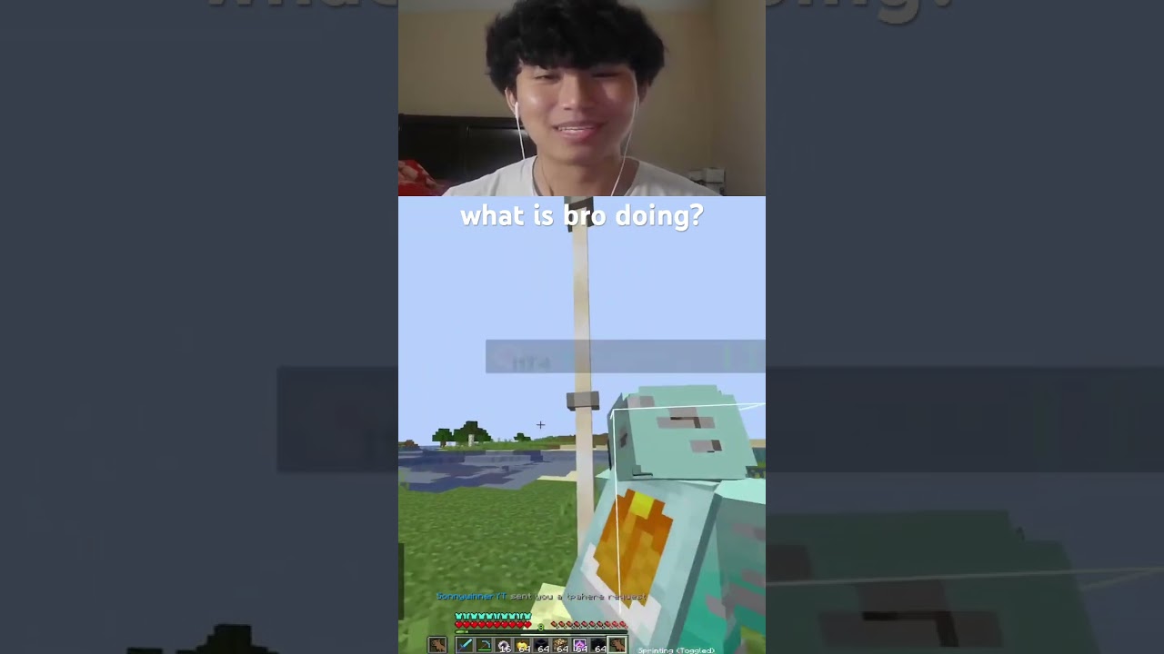 DonutSMP End Rods What Is He Doing? 