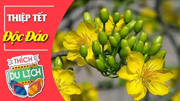 Rạng Rỡ Ngày Xuân Với Thiệp Chúc Tết Vô Cùng Độc Đáo - Thích Du Lịch - Du Lịch SayHi