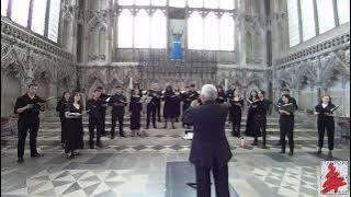 Download lagu Christopher Tin: Hope is the Thing with Feathers