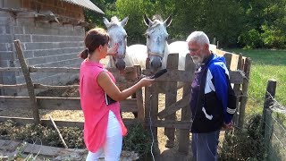 Ženio se i razvodio devet puta, sa desetom pronašao sreću!