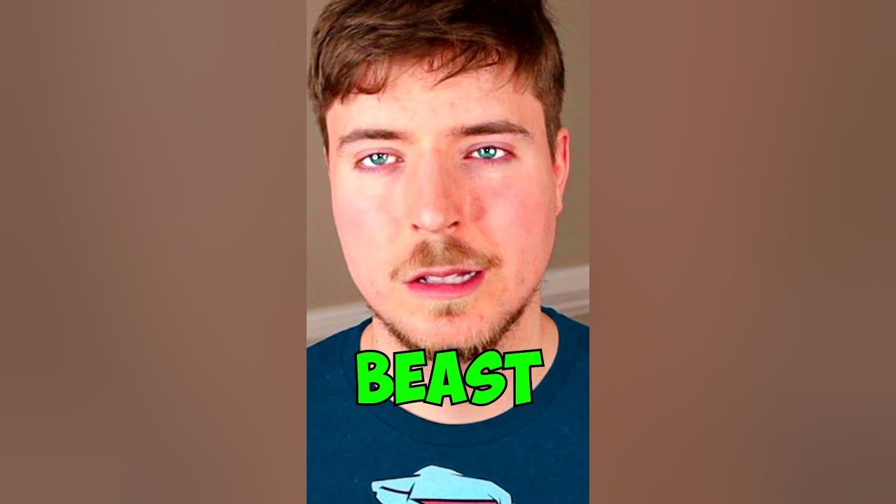 The FAKE MrBeast HATE..😢💔