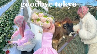 GOODBYE TOKYO VLOG 🍓🐮 going strawberry picking, to a cow farm, and… a host club LMAO 🤪