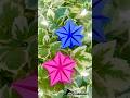 Geometrical Stars #origami #paperart #craft #artscraft #paperstars #diyprojects