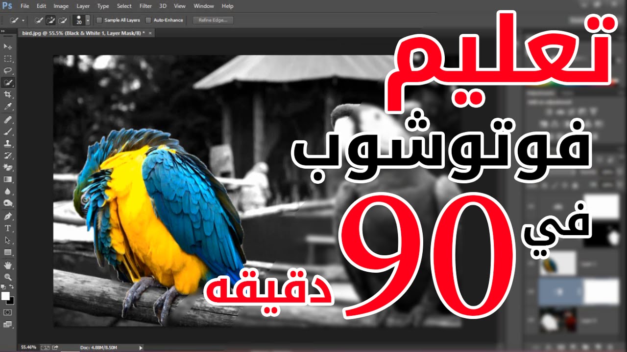 ⁣تعليم فوتوشوب في 90 دقيقه فقط