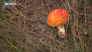 Post Scriptum 2013-09-29 3