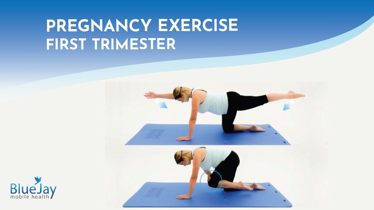 First Trimester Pregnancy Exercise Bird Dog YouTube