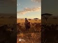 #shorts #ytshorts #lions #savanna #wildlife #nature #animals #safari #viral #shortvideo