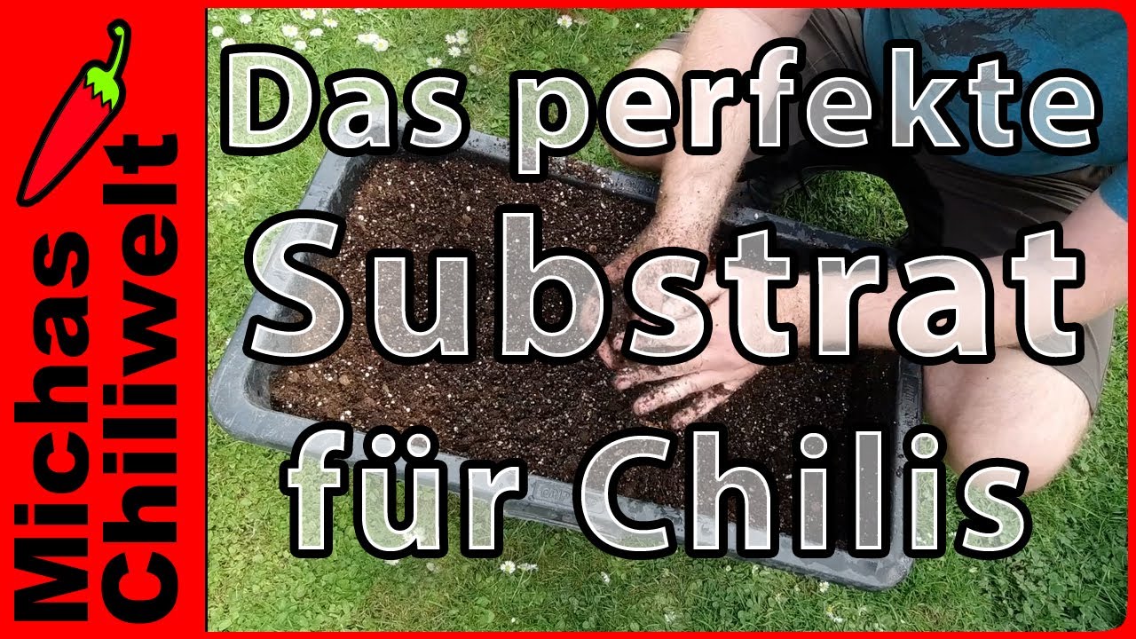 Das perfekte Substrat fr Chilis | Erde selber mischen | Dnger | Umtopfen