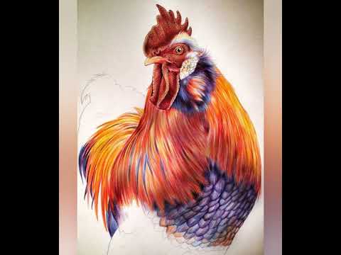 Петух 🐔 в славянской мифологии. Приметы