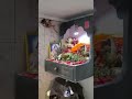 1BHK for sale @ 80 Lakh Suchidham Goregaon East