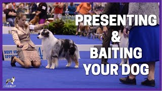 Presenting & Baiting Your Dog (No AFrame)