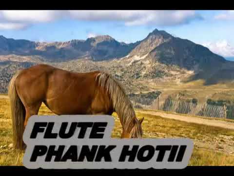 Bk ring tone