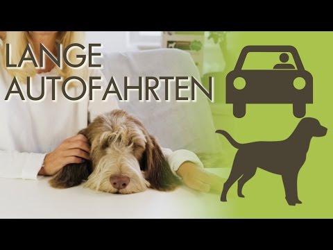 Video: Ein Leitfaden Für Autoreisen Mit Ihrem Haustier