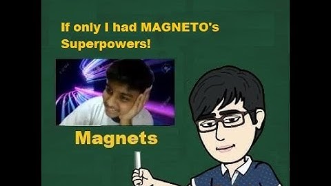 p6 magnets Raffles 2019 SA1 q36