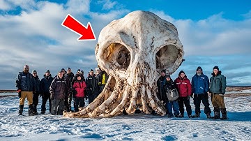 Scientists Stunned by Mysterious Fossils Don’t Match Any Known Species!