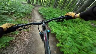 Sauberg Trail Vienna (Raw) / Orbea Occam H30