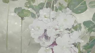 A Thousand Times Good Night ● Abel Korzeniowski