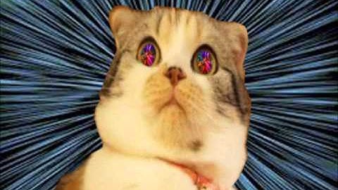 Waltech PGD Original: Here