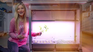 My favorite piece of tech in 2020!  AeroGarden!