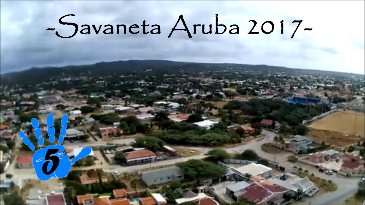 Resultado de imagem para savaneta aruba