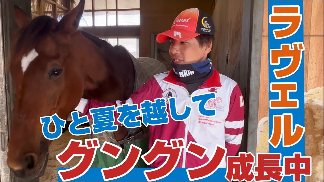 チャレンジカップ2024】ラヴェル・福岡五大調教助手インタビュー「馬の