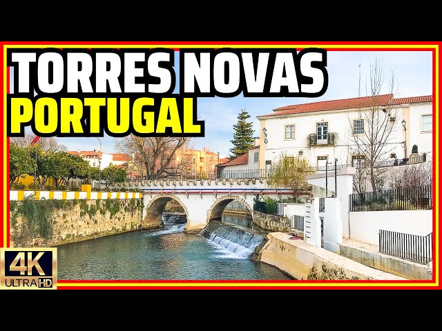 O Forte de Nove Torres (Em Portugues do Brasil)