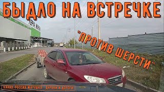 Быдло на встречке #147! Подборка на видеорегистратор!