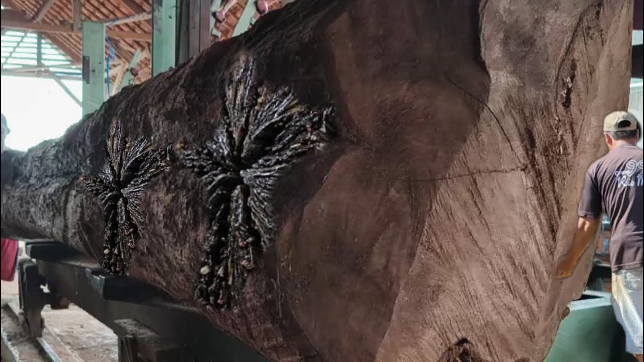 GIANT LOG CUTTING!! Solid block Appearing Perfectly at the Sawmill ...